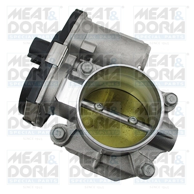 Throttle Body